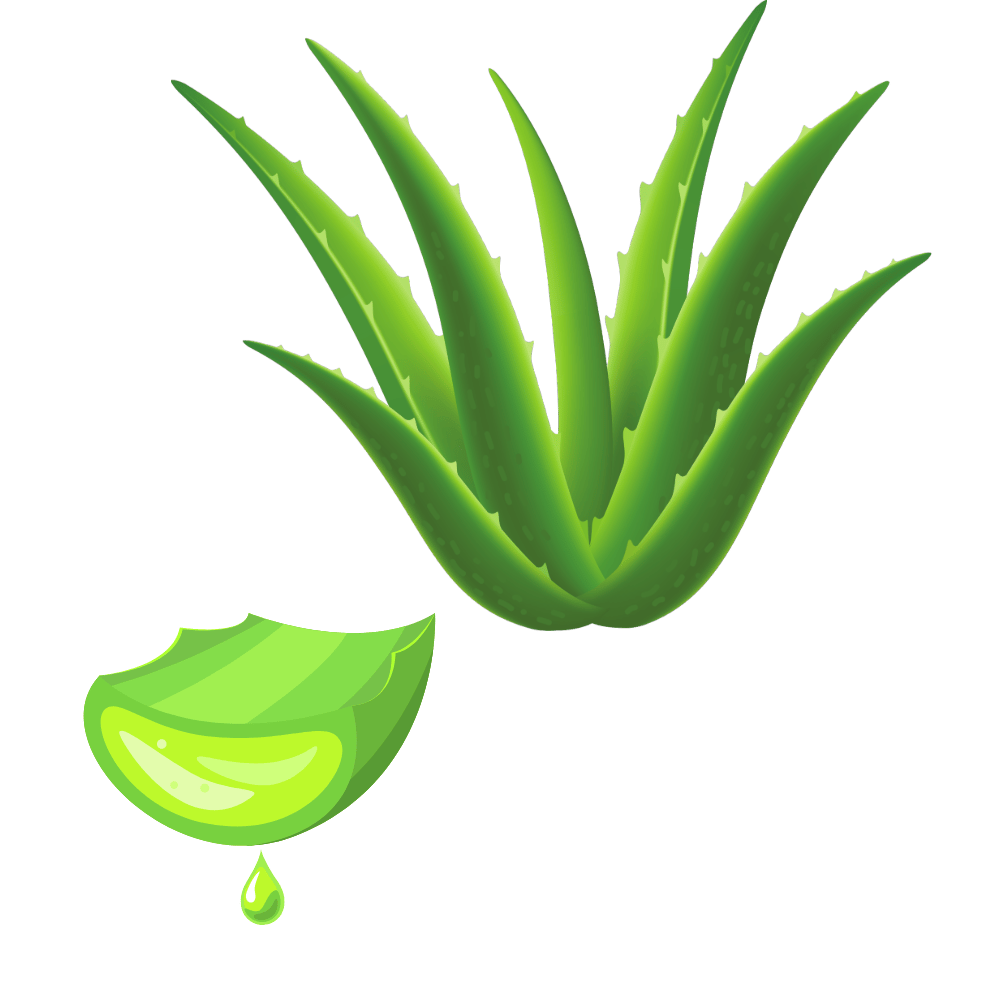 Sip Your Way to Wellness: The 5 Best Aloe Vera Juice Reviews and Buyer's Guide