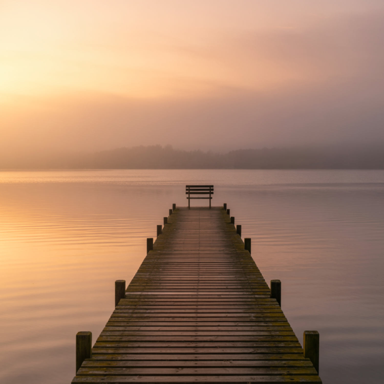 How Light Affects Us Throughout the Day