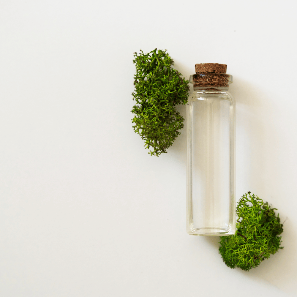 The 3 Best Sea Moss Drops